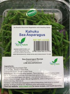Fresh sea asparagus grown on the north shore of oahu