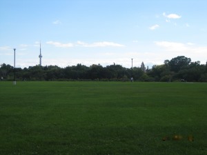 The view from an all time favourite run in a Toronto Park 