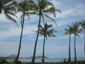 the Kahala view 