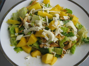 mixed green salad with slow cooked chicken, avocado, mango, cilantro and lime 